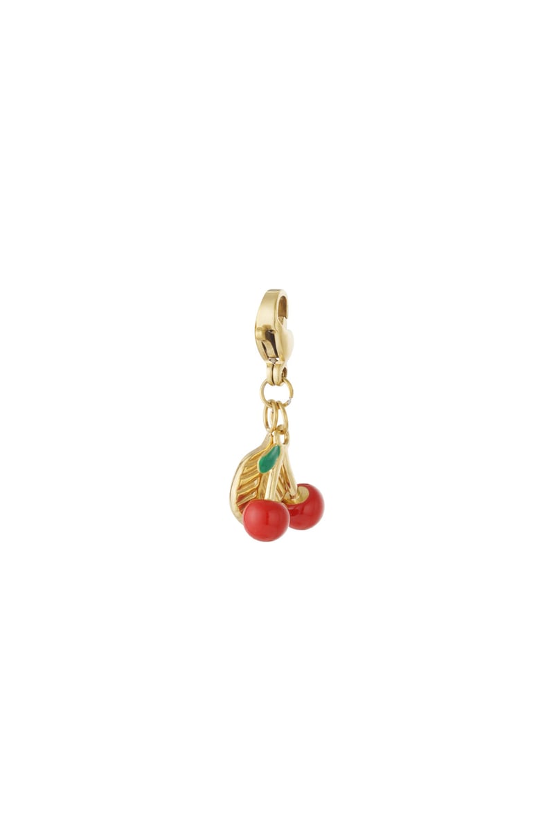 Fruit Bedel – RVS & Emaille Sieraad Charm