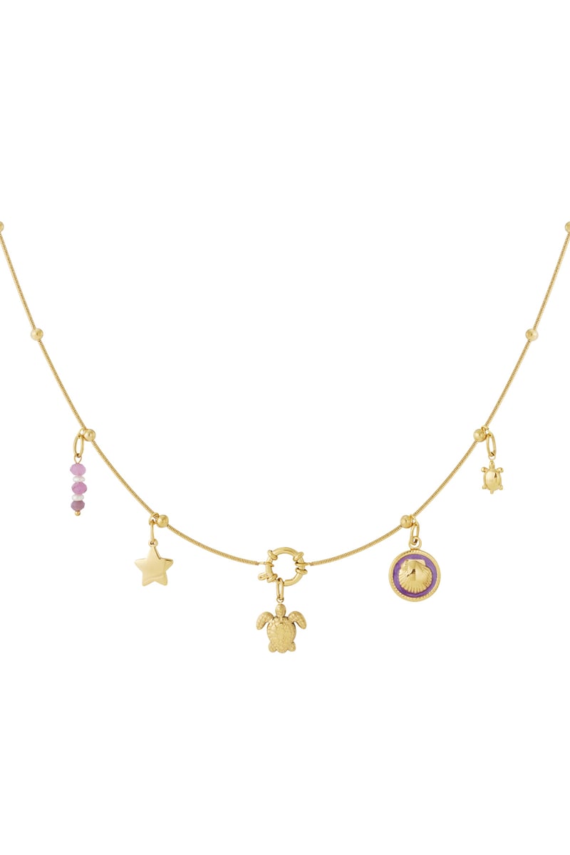 Gouden Turtle Ketting – 14K Verguld RVS (40 + 5 cm)
