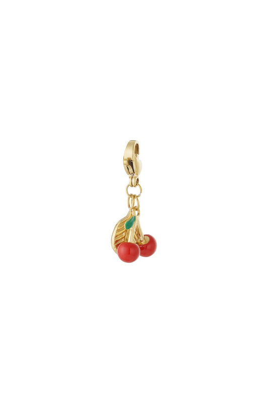 Fruit Bedel – RVS & Emaille Sieraad Charm